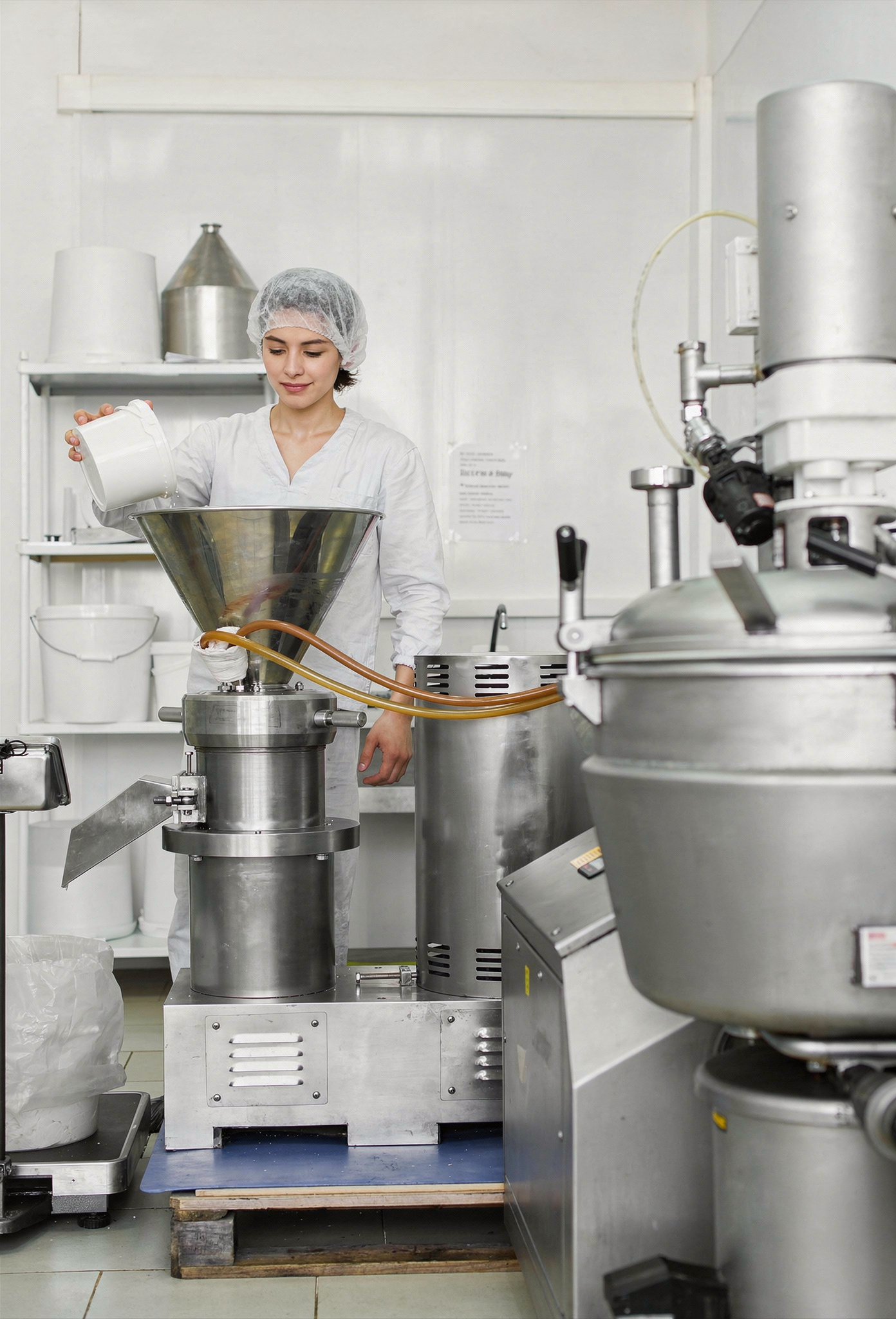 Industria Alimentaria en México: